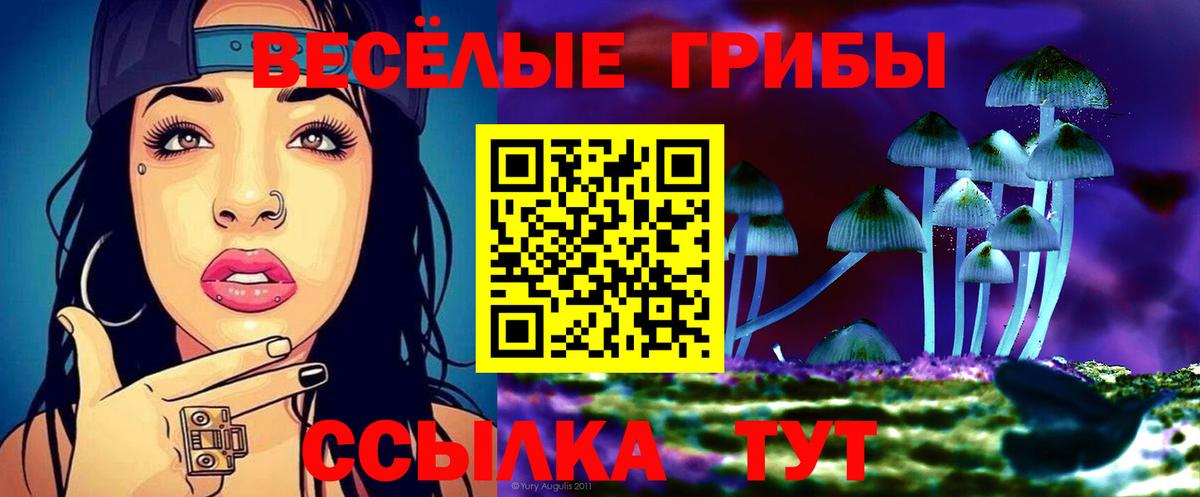 Печора  Псилоцибиновые грибы MAGIC MUSHROOMS  Вход с VPN  Галлюциногенные грибы ЛСД 